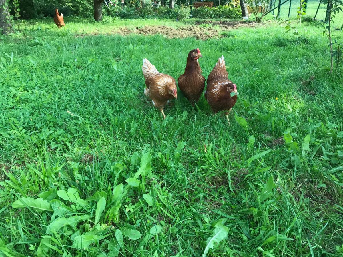 Appartamento Feriendomizil Taupadel Burgel  Esterno foto